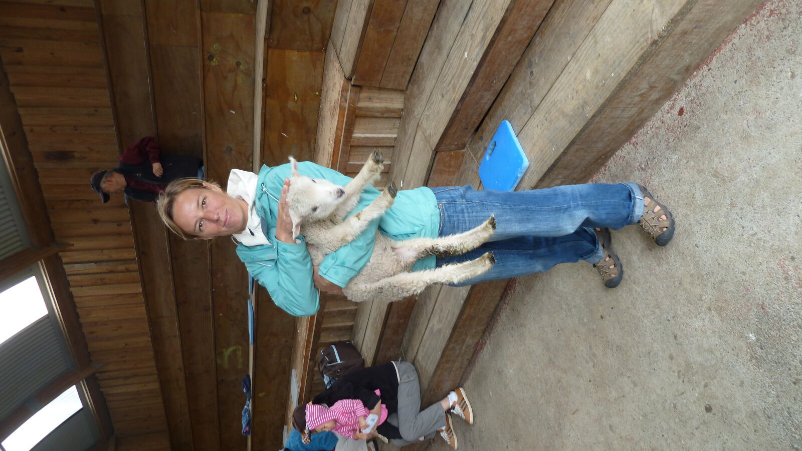 Schaf kuscheln in Sheep World.
