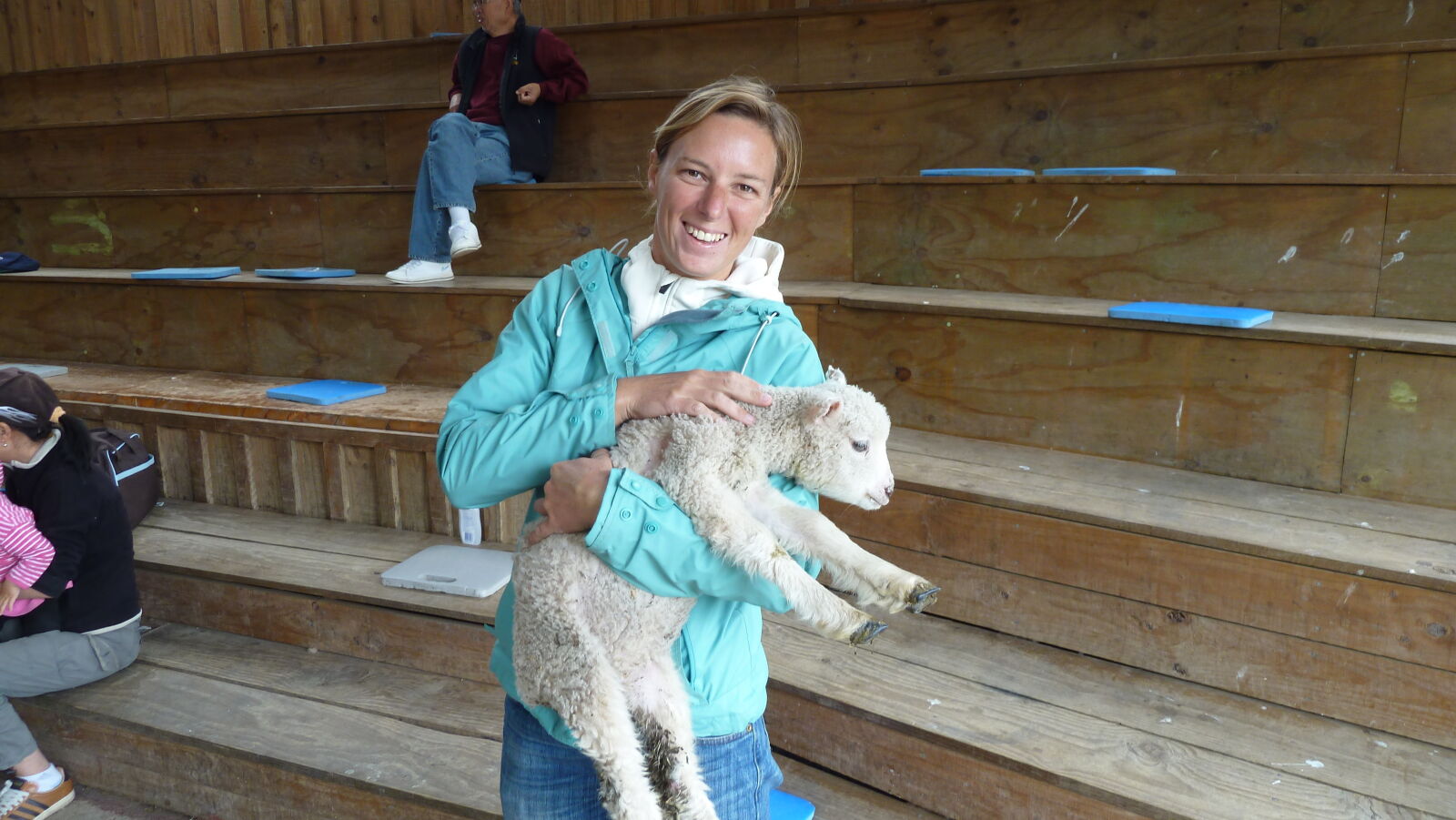 Schaf kuscheln in Sheep World.
