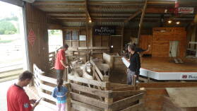 Schafe sortieren in Sheepworld.