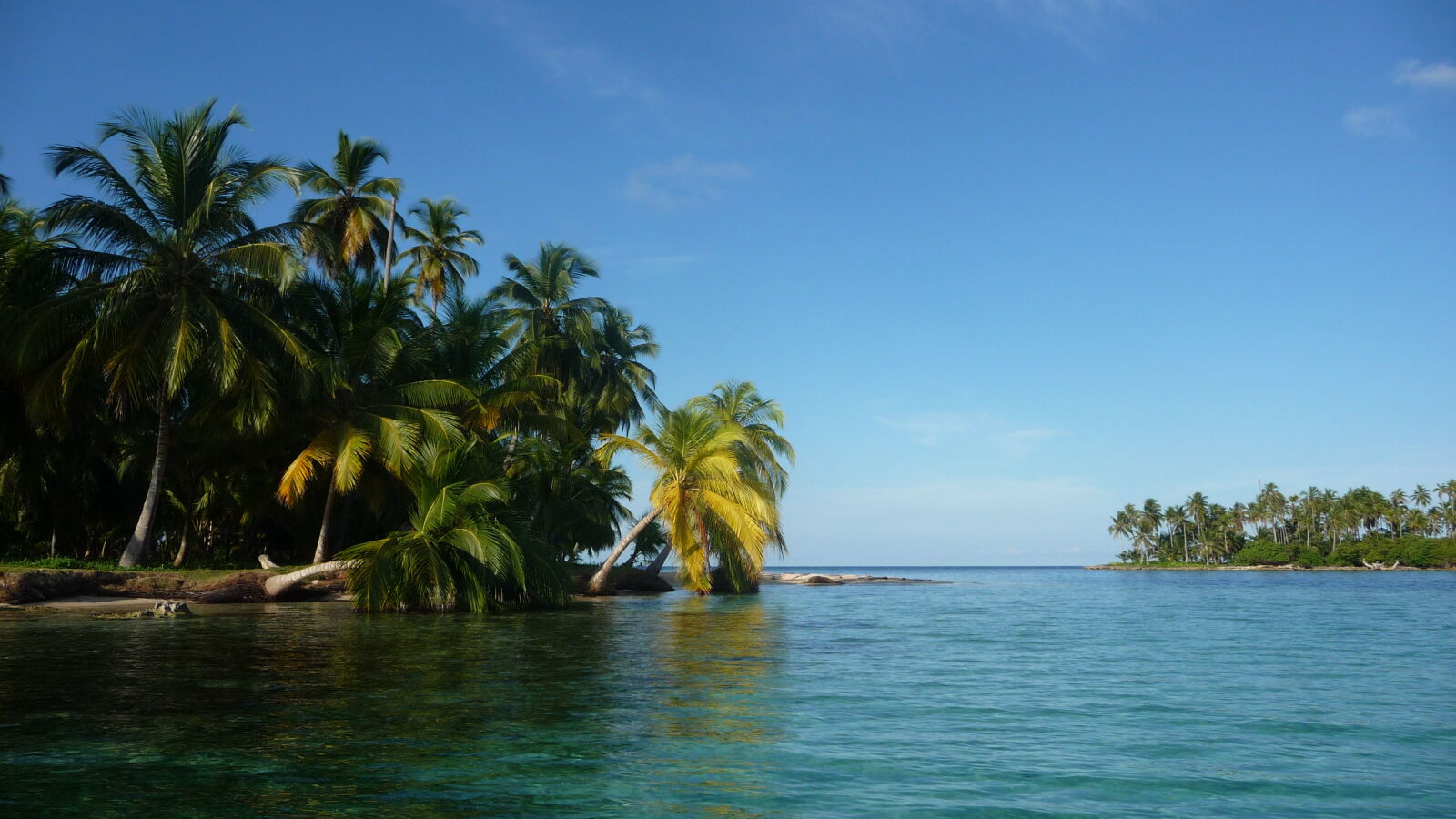 Yauala.