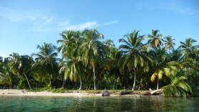 Yauala.