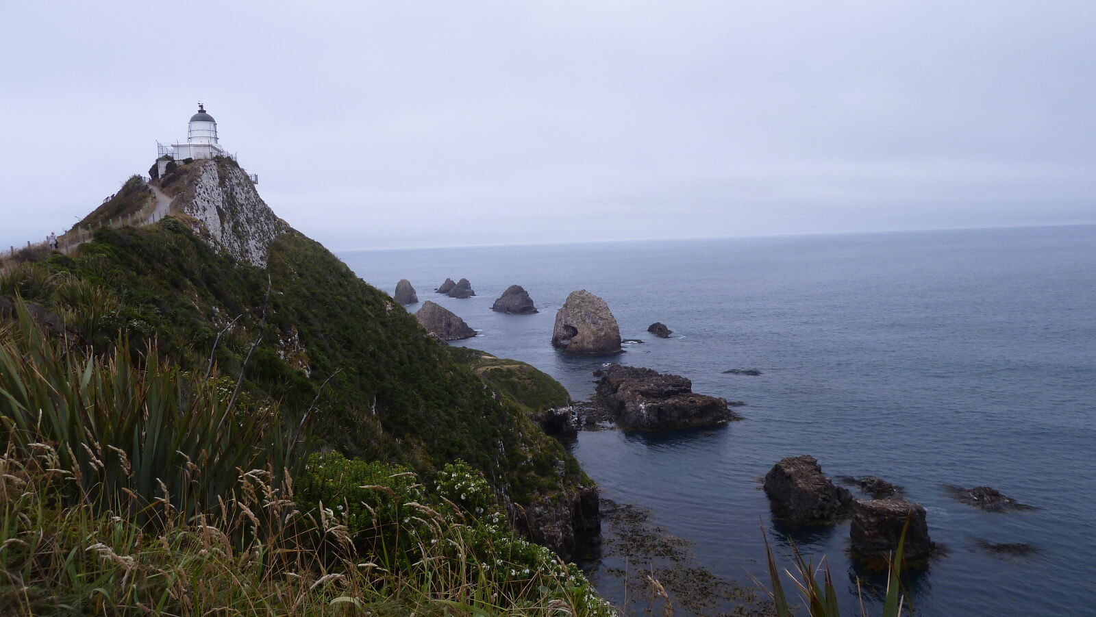 Nugget Point.