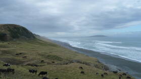 Irgendein Lookout.