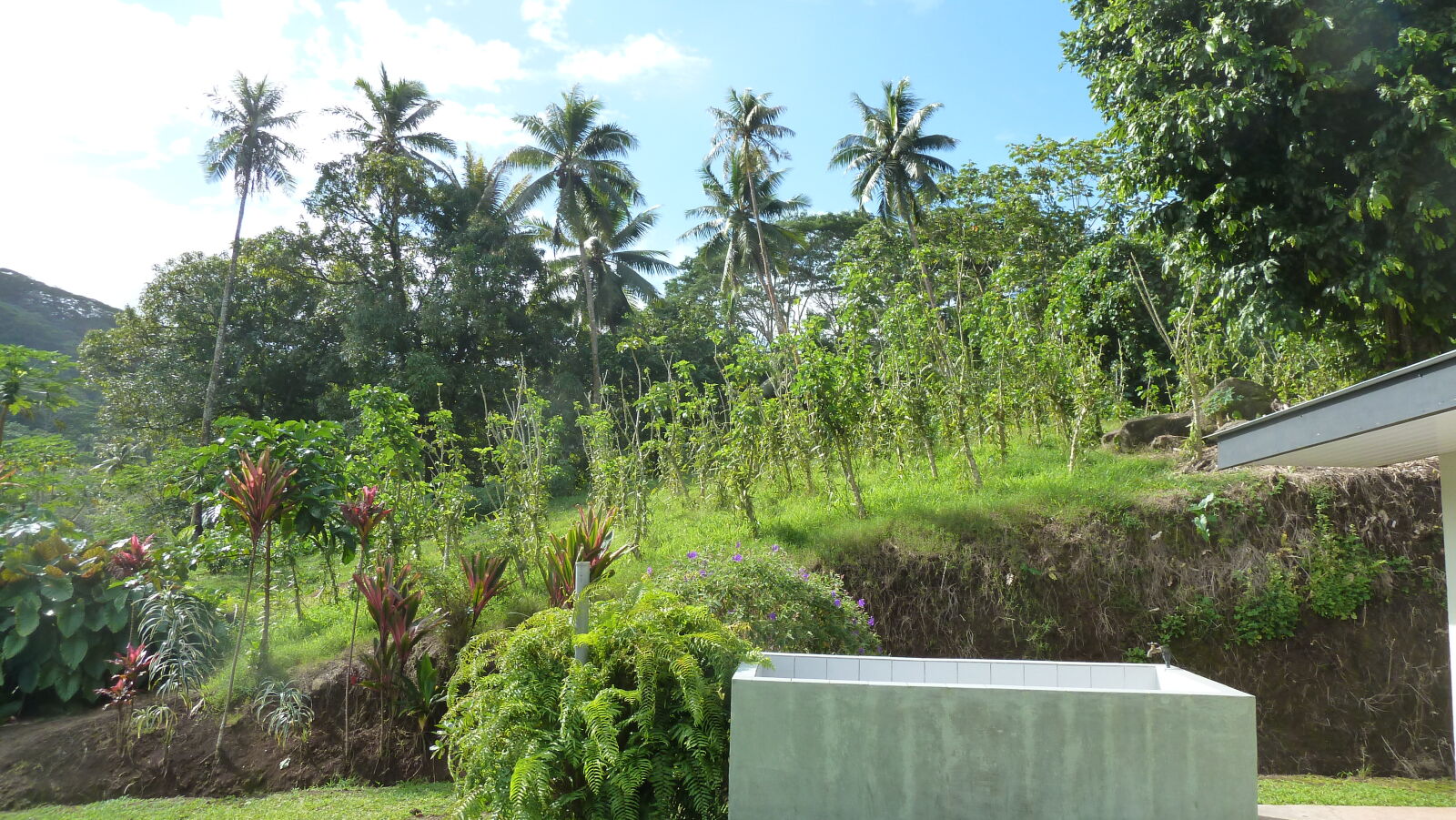 Vanilleplantage im Maison de la Vanille, Tahaa.