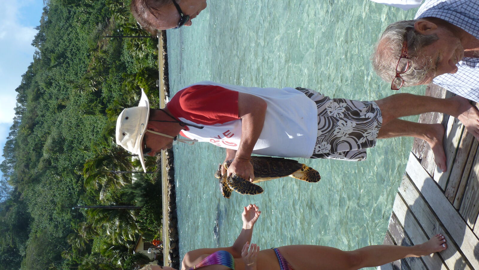 Schildkröte kurz vor ihrer Befreiung, Hotel Hibiscus, Tahaa.