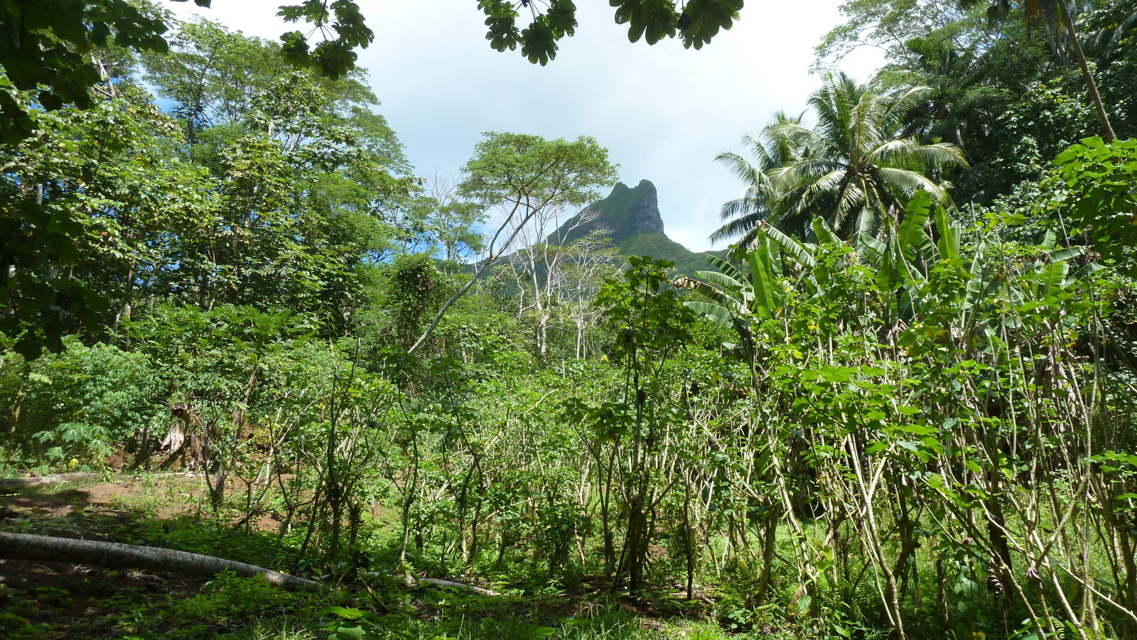 Raiatea.