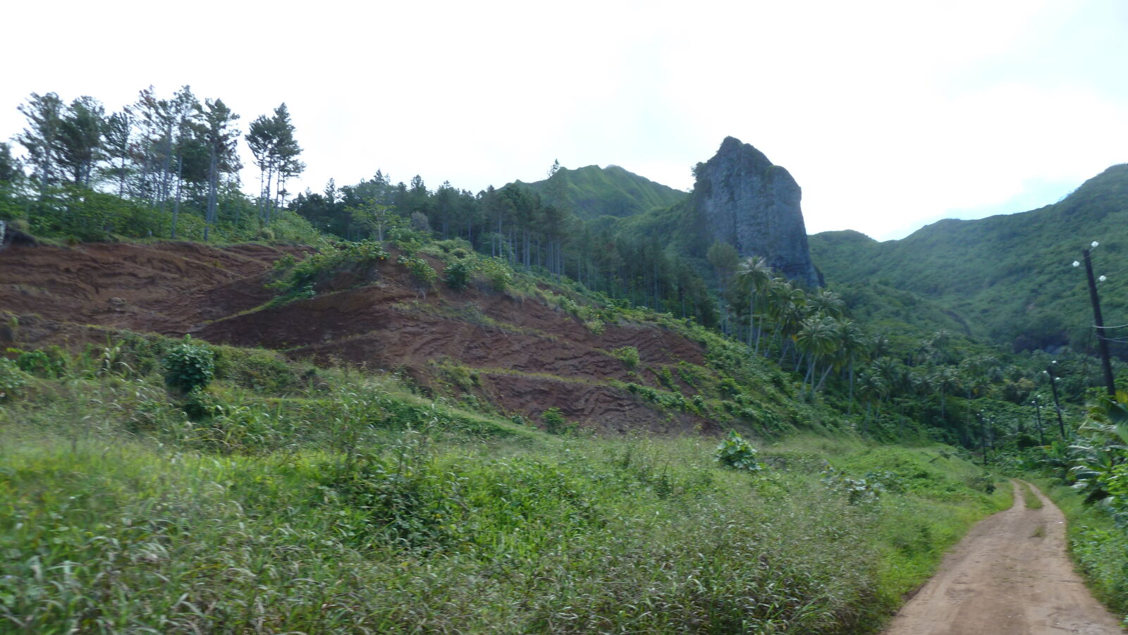 Raiatea.