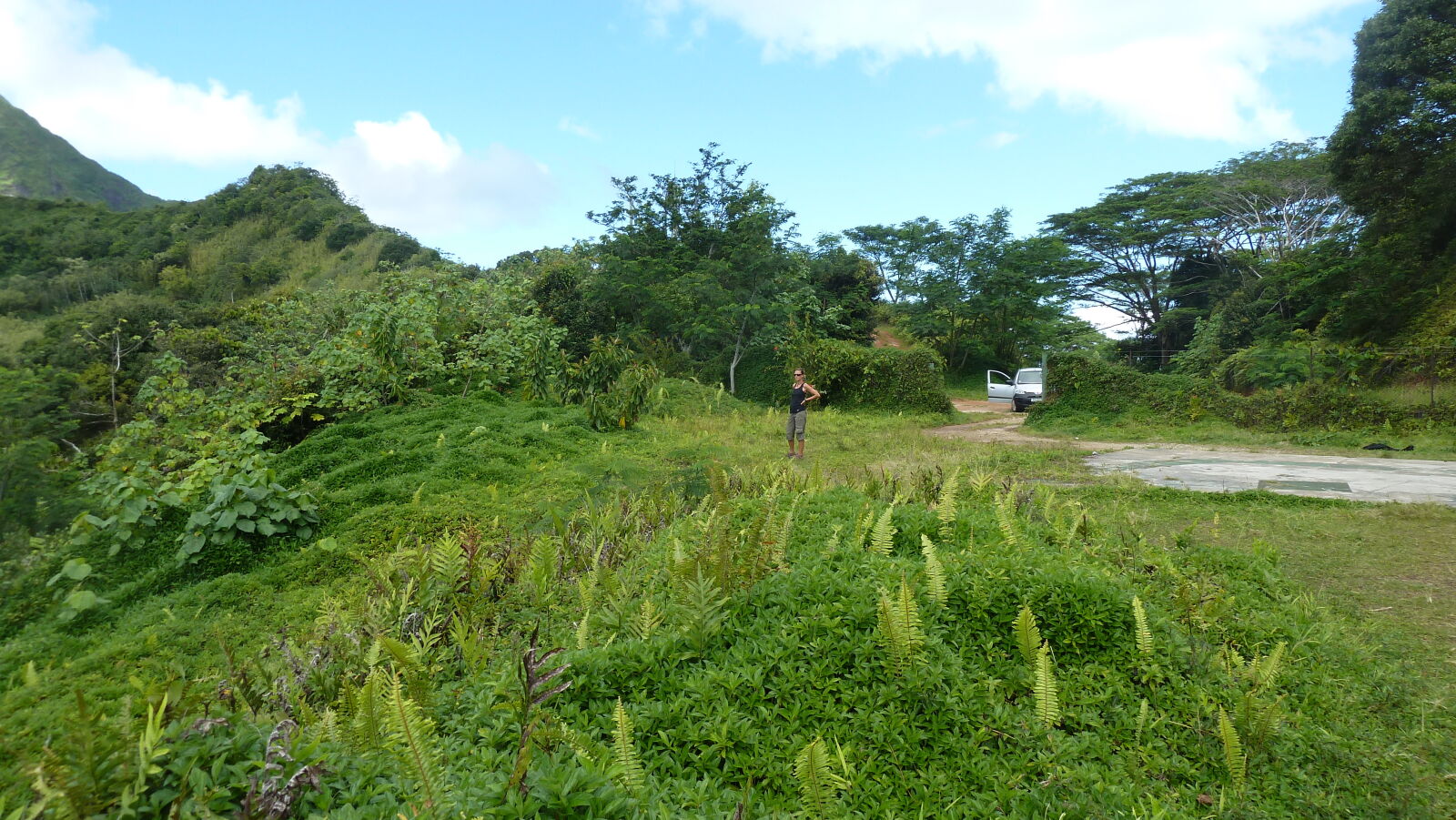 Raiatea.