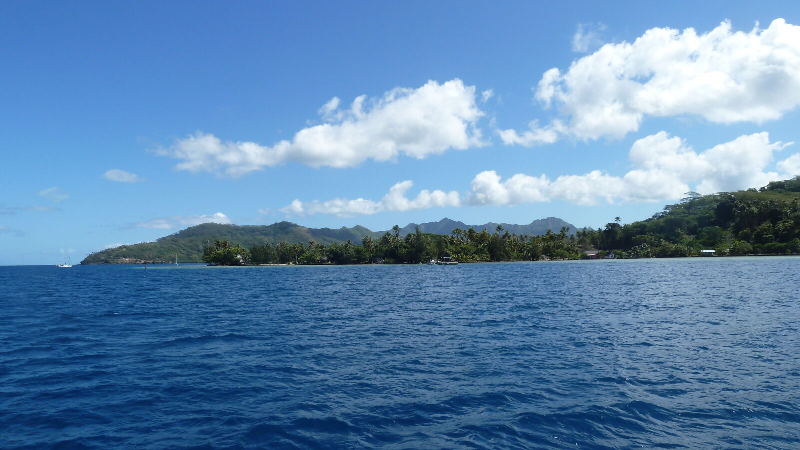 Tahaa.