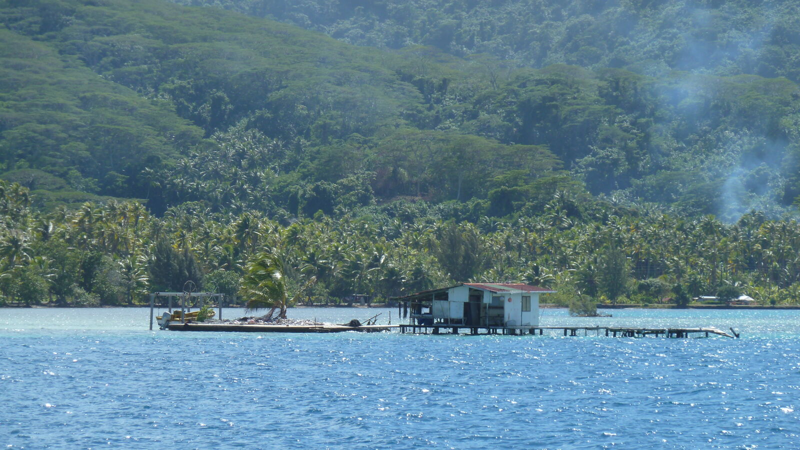 Tahaa.