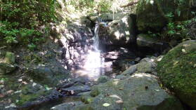 1. Wasserfall, Les 3 Cascades, Raiatea.
