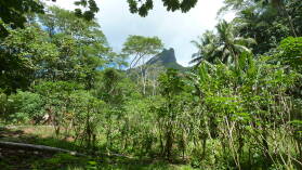 Raiatea.