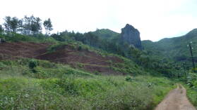 Raiatea.