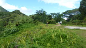Raiatea.