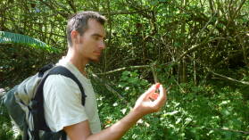 Himbeeren! Valle Vaitepiha.