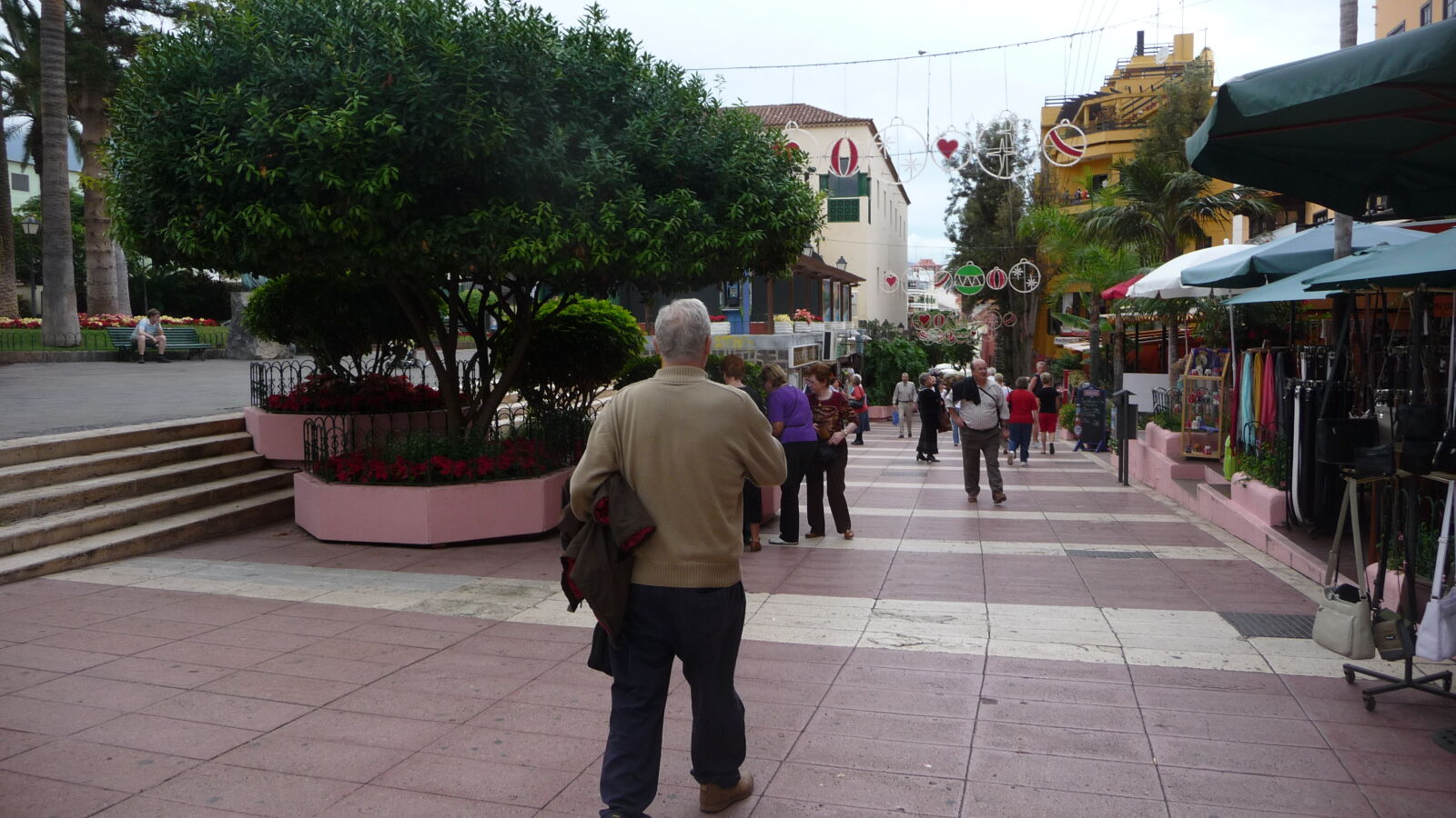 Puerto de la Cruz.
