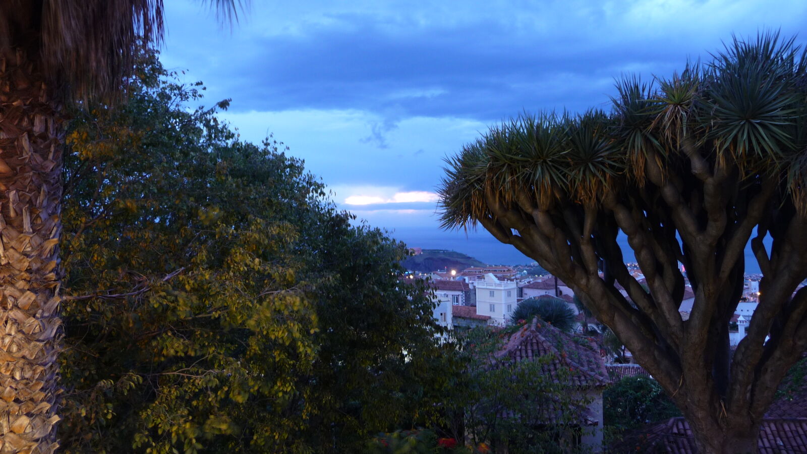 La Orotava.