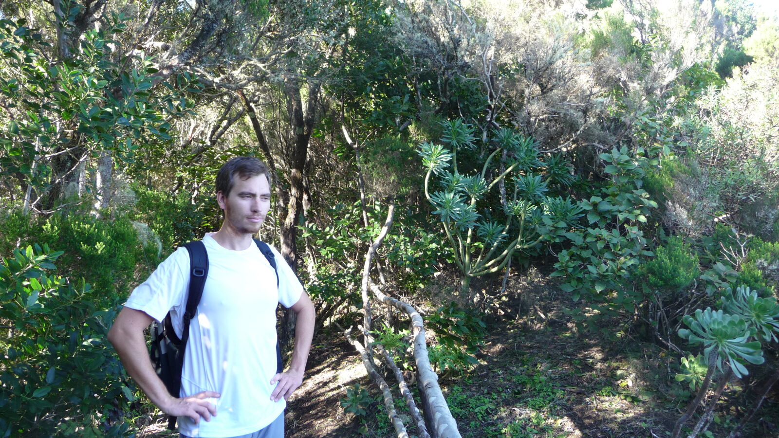 Parque Rural de Anaga.