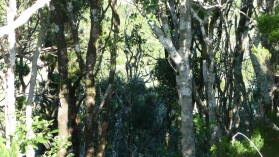 Parque Rural de Anaga.