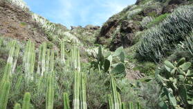 Parque Rural de Anaga.