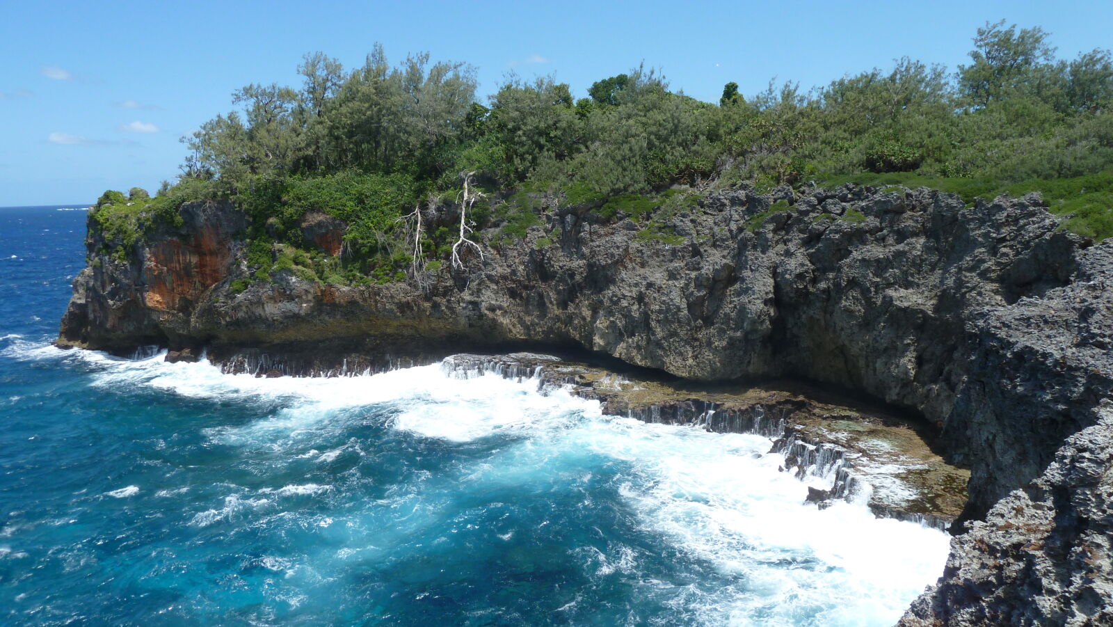 Kenutu.