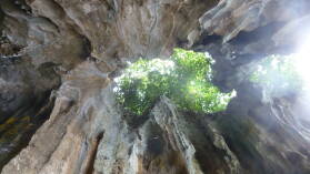 Swallows Cave.