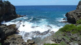 Kenutu.