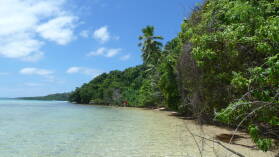 Kenutu.