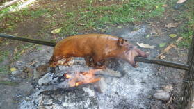Spanferkel.