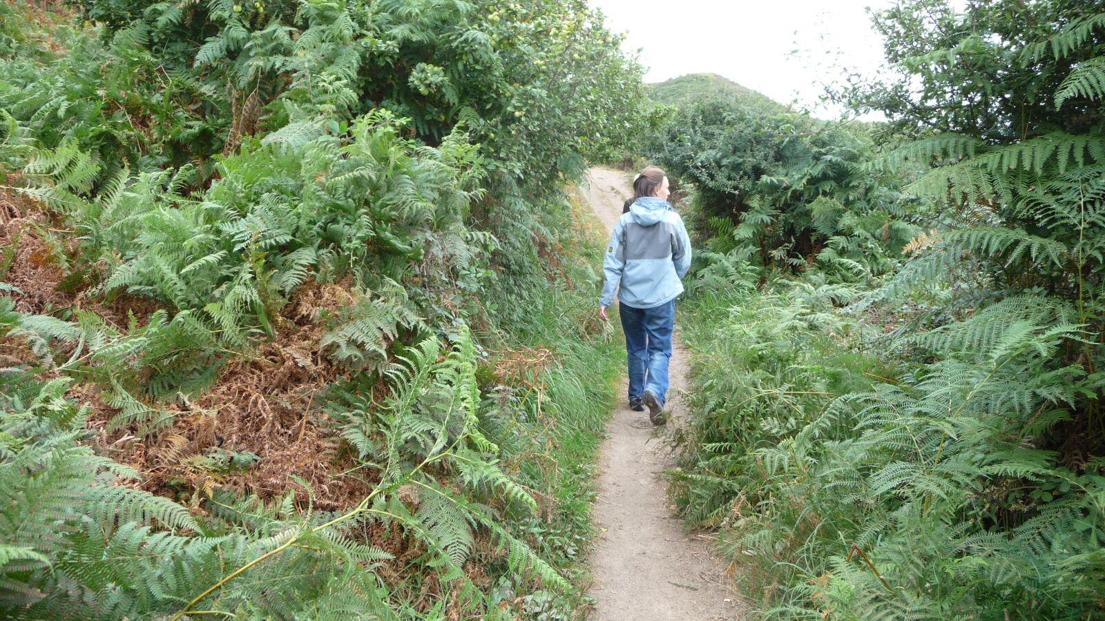 Wanderung entlang der KÃ¼ste von TrÃ©beurden