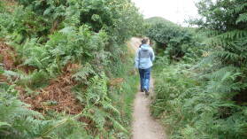 Wanderung entlang der KÃ¼ste von TrÃ©beurden