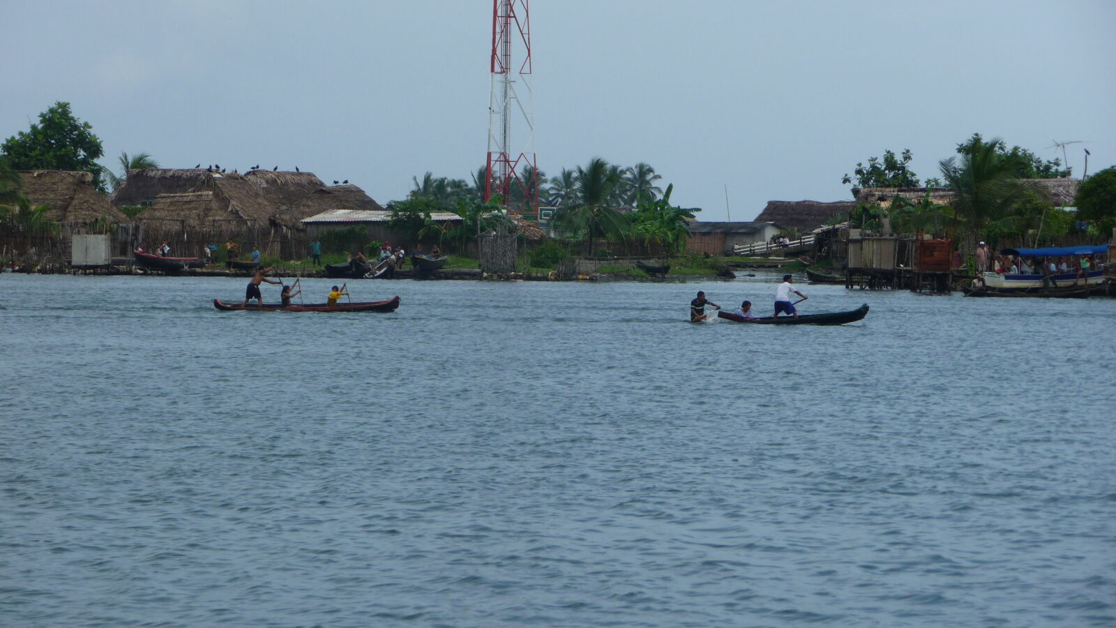 Regatta.