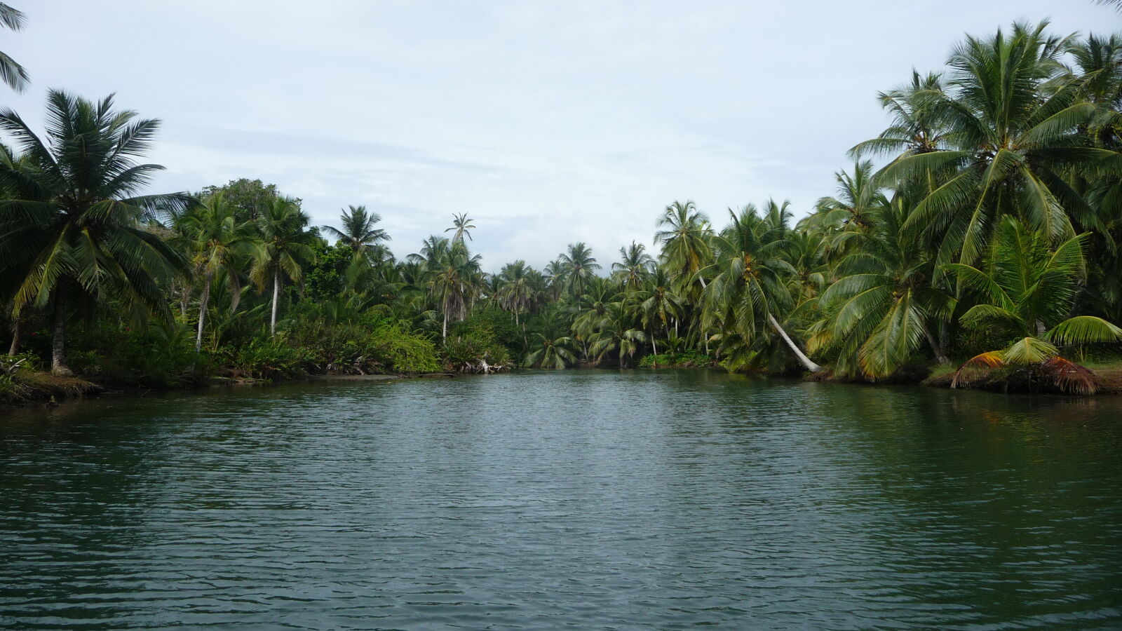 Diwar Sugandi.
