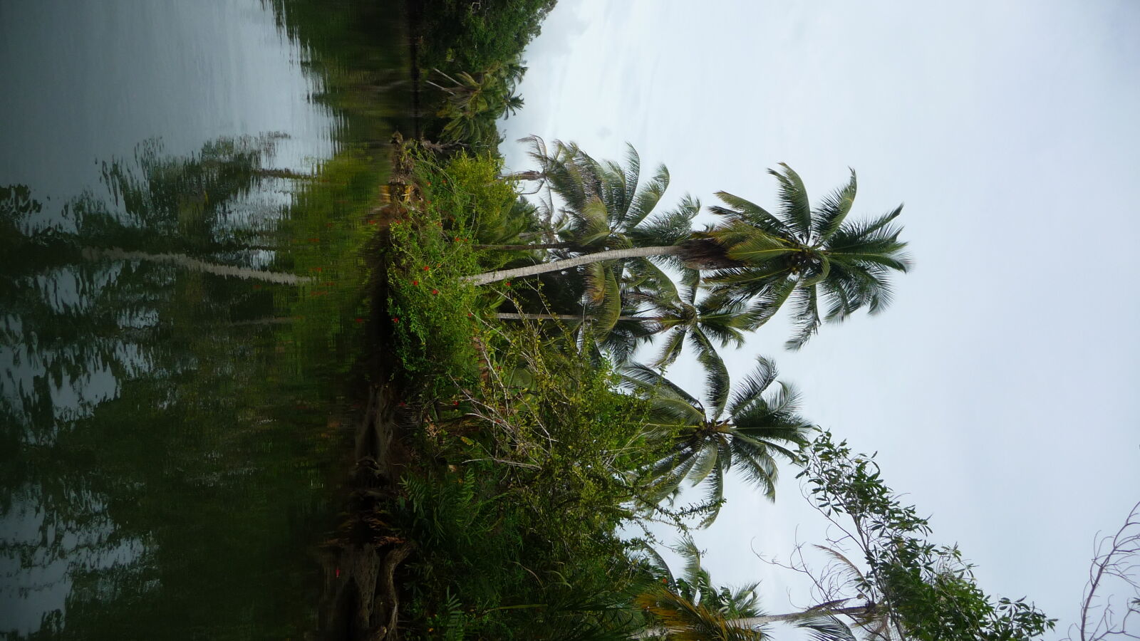 Diwar Sugandi.