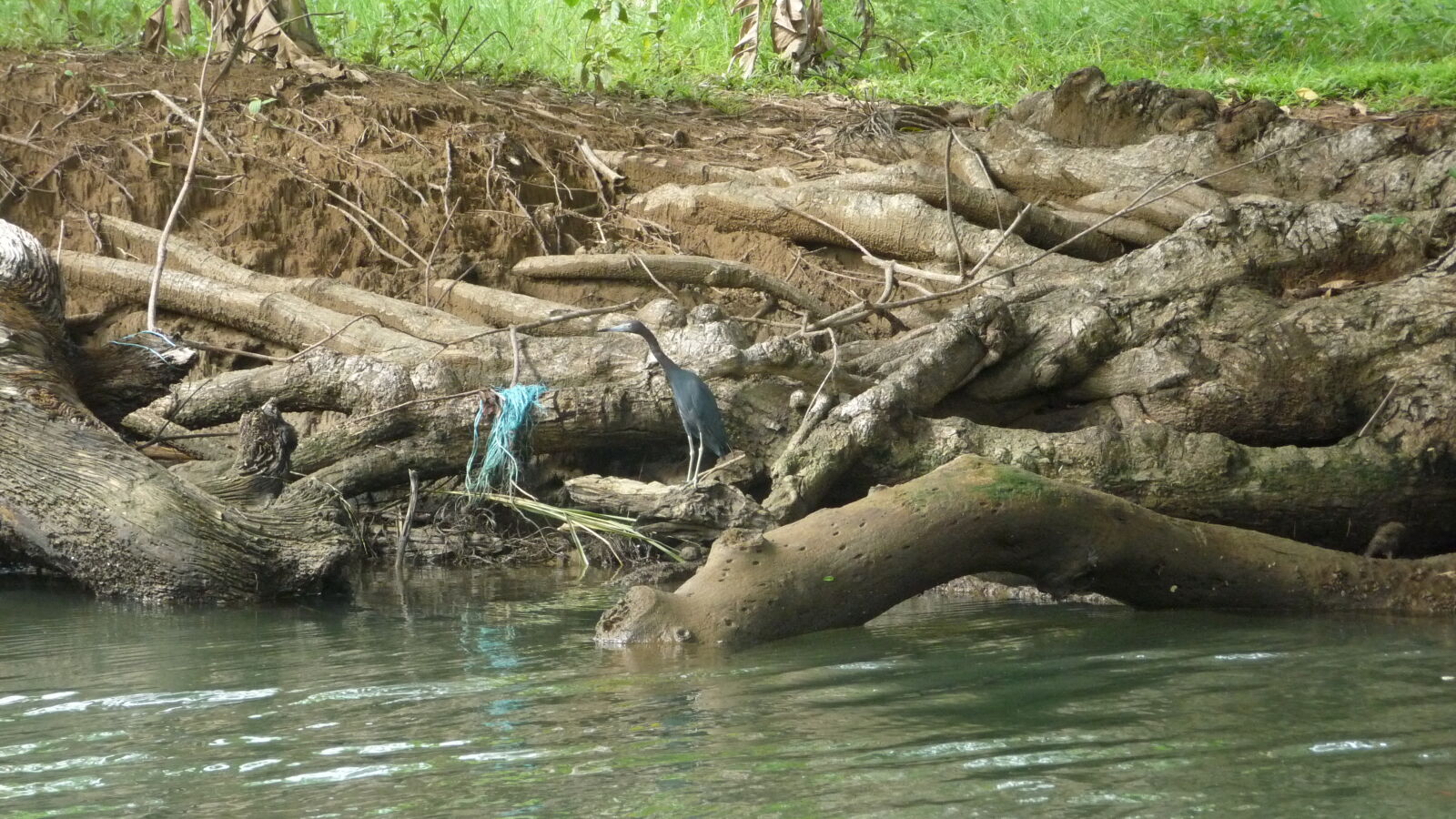 Diwar Sugandi.