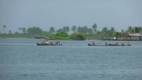 Regatta.