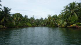 Diwar Sugandi.