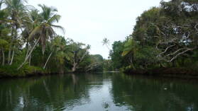 Diwar Sugandi.