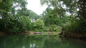 Diwar Sugandi.