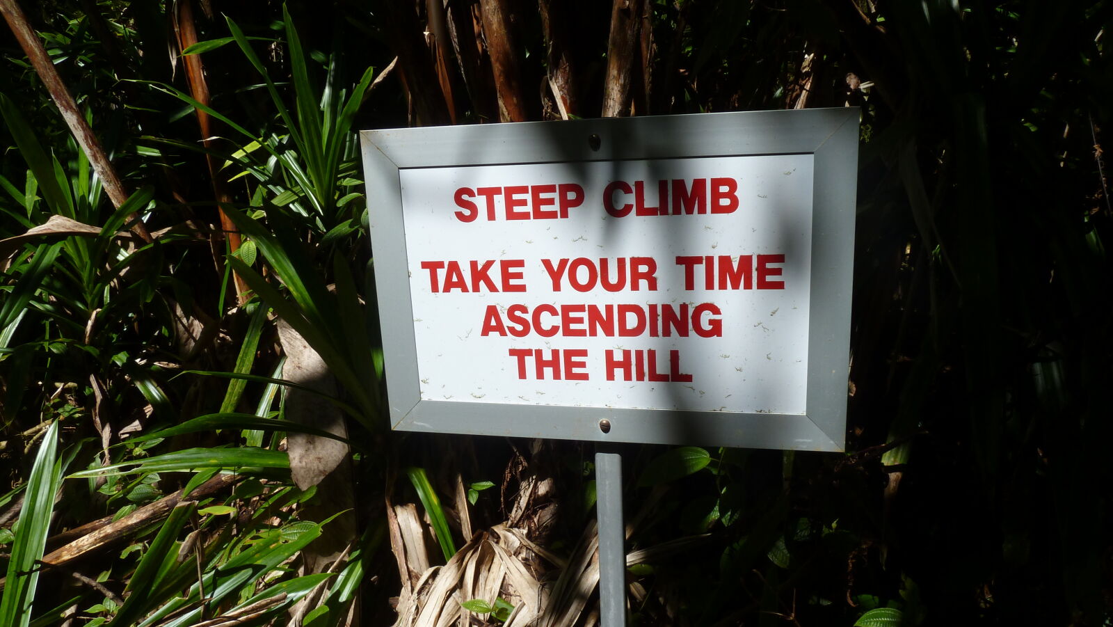 Waisali Forest Reserve.