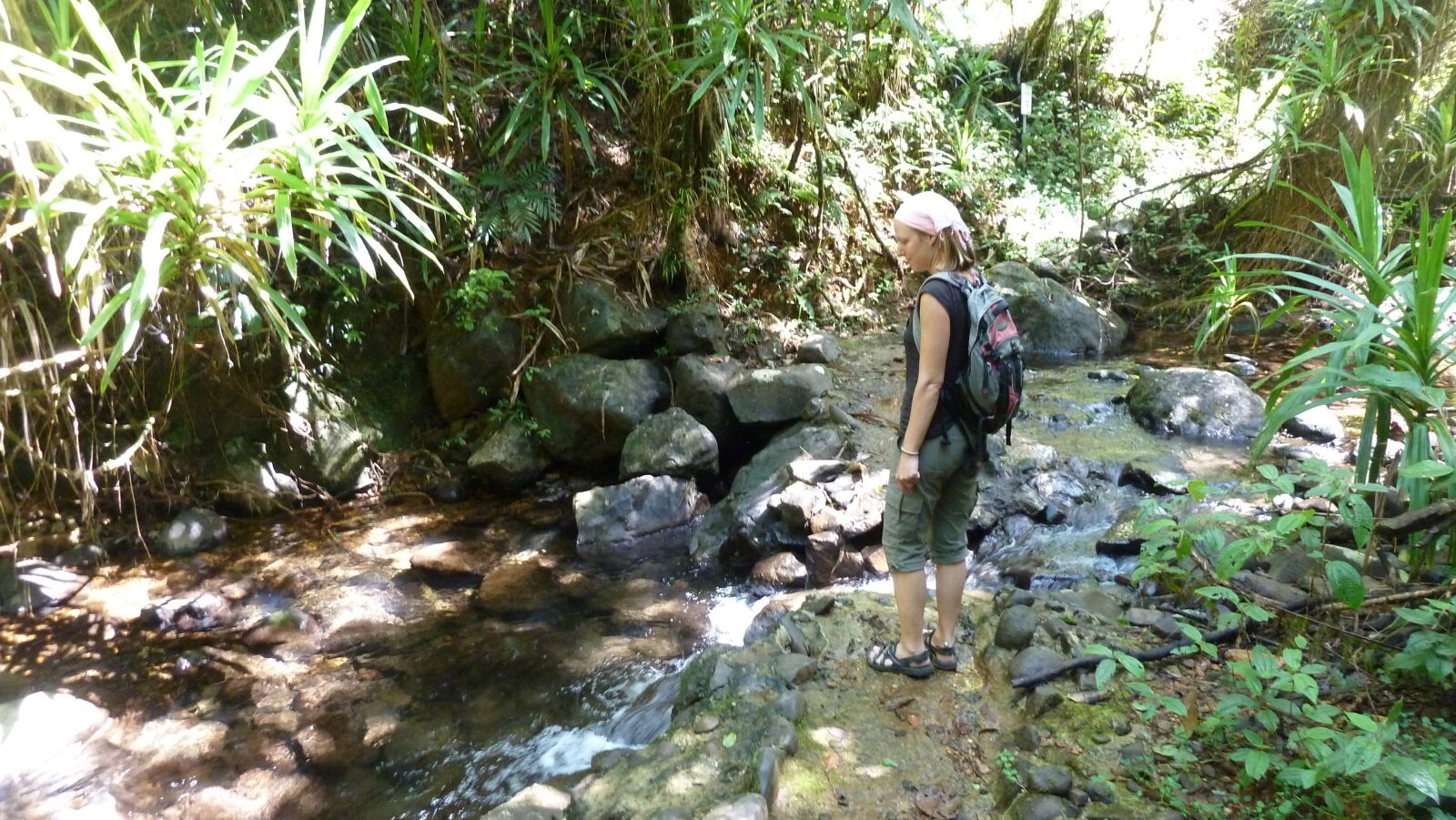 Waisali Forest Reserve.