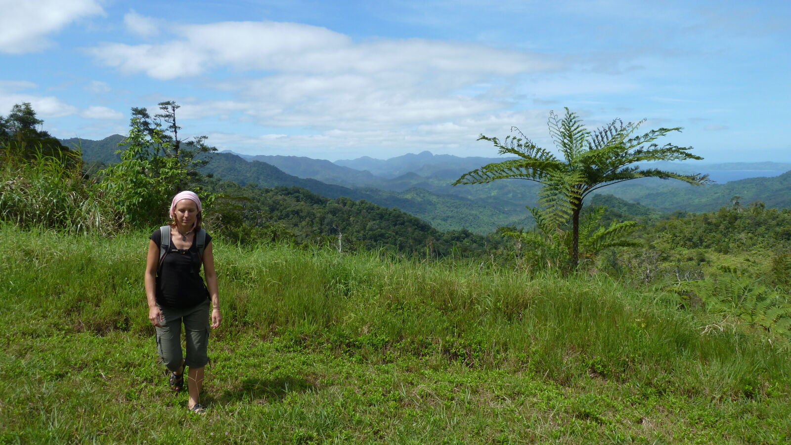 Waisali Forest Reserve.
