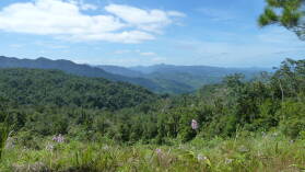 Waisali Forest Reserve.