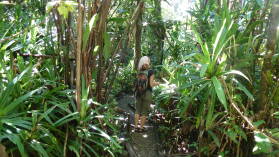 Waisali Forest Reserve.