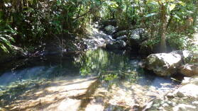 Waisali Forest Reserve.