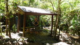 Waisali Forest Reserve.