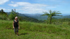 Waisali Forest Reserve.