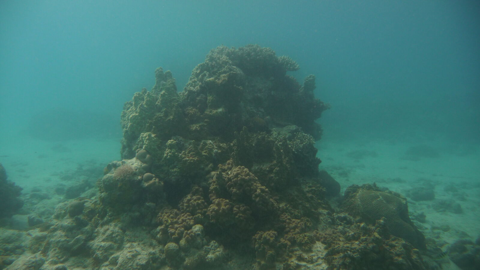 Schnorcheln bei Mystery Island, Anelcauhat, Aneityum.