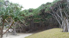 Ireupuow, Port Resolution, Tanna.