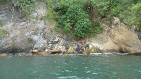 Hot Springs; Port Resolution, Tanna.